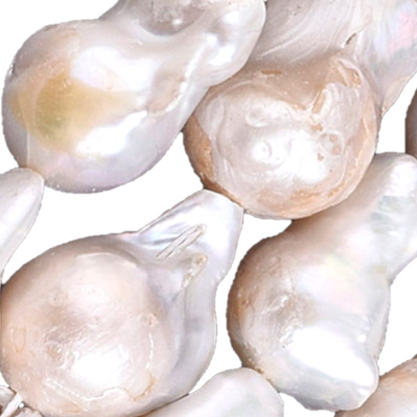 淡水養殖真珠